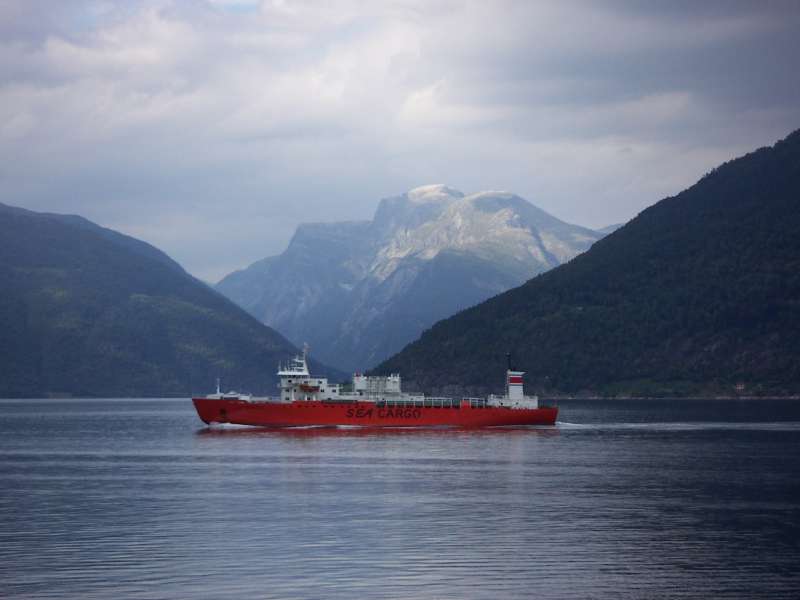 Sognefjord a lo